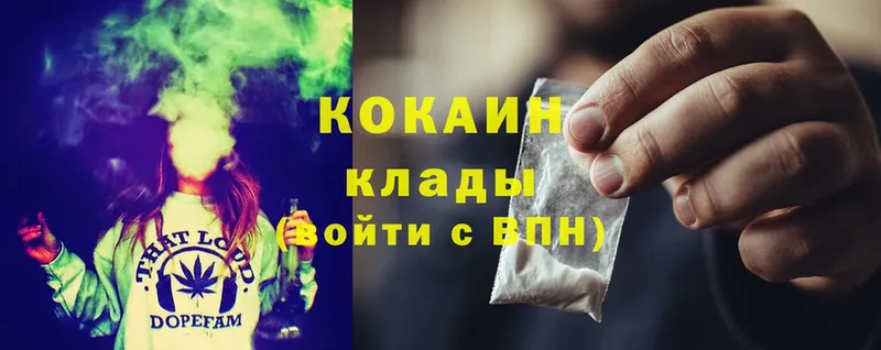 продажа наркотиков  Выборг  Cocaine FishScale 